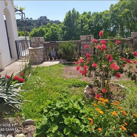 Apartmani Jovanovic Petrovac Dış mekan fotoğraf