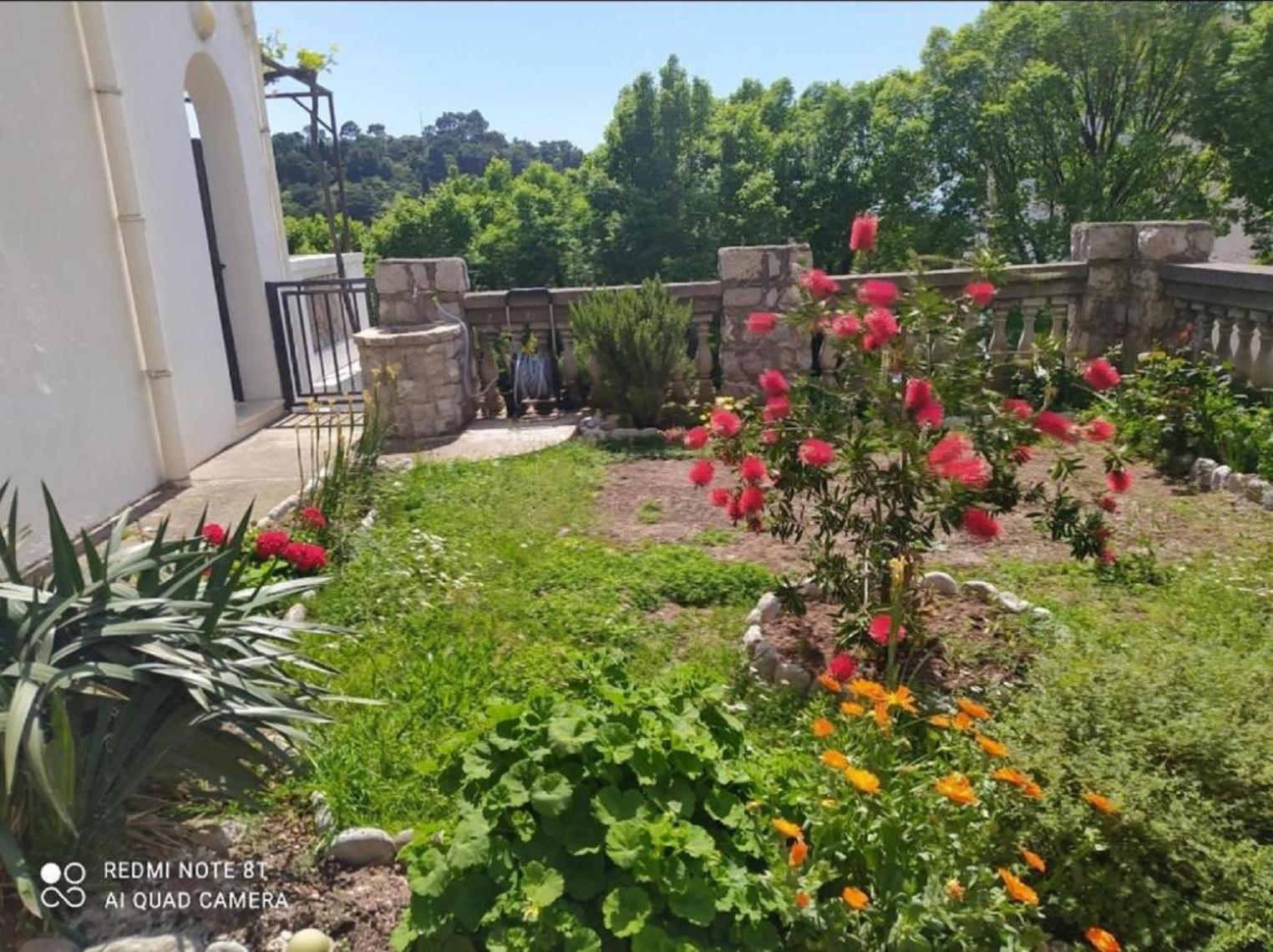 Apartmani Jovanovic Petrovac Dış mekan fotoğraf