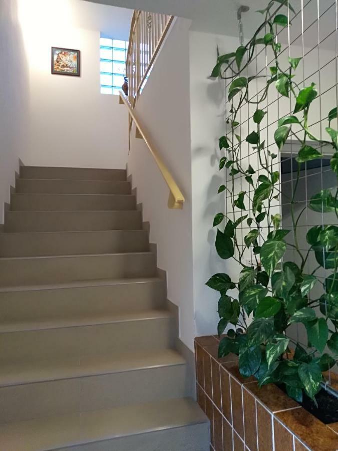 Apartmani Jovanovic Petrovac Dış mekan fotoğraf