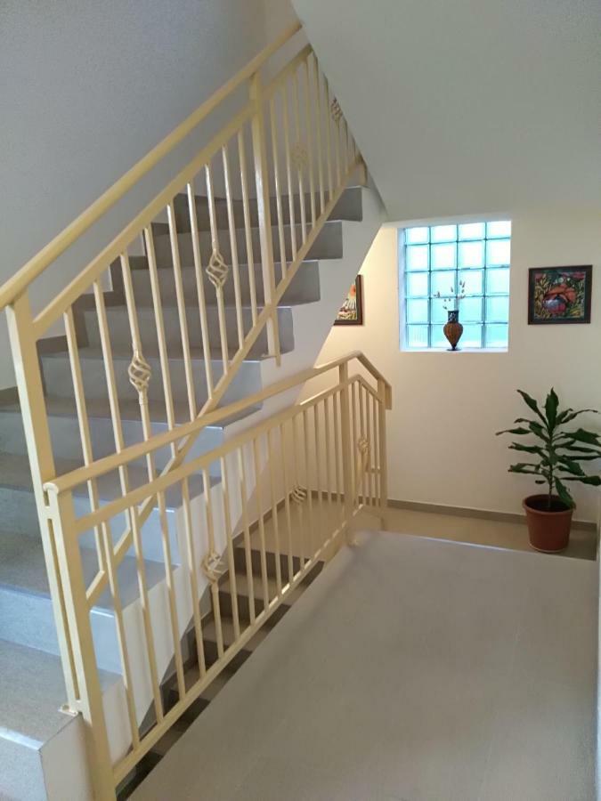 Apartmani Jovanovic Petrovac Dış mekan fotoğraf
