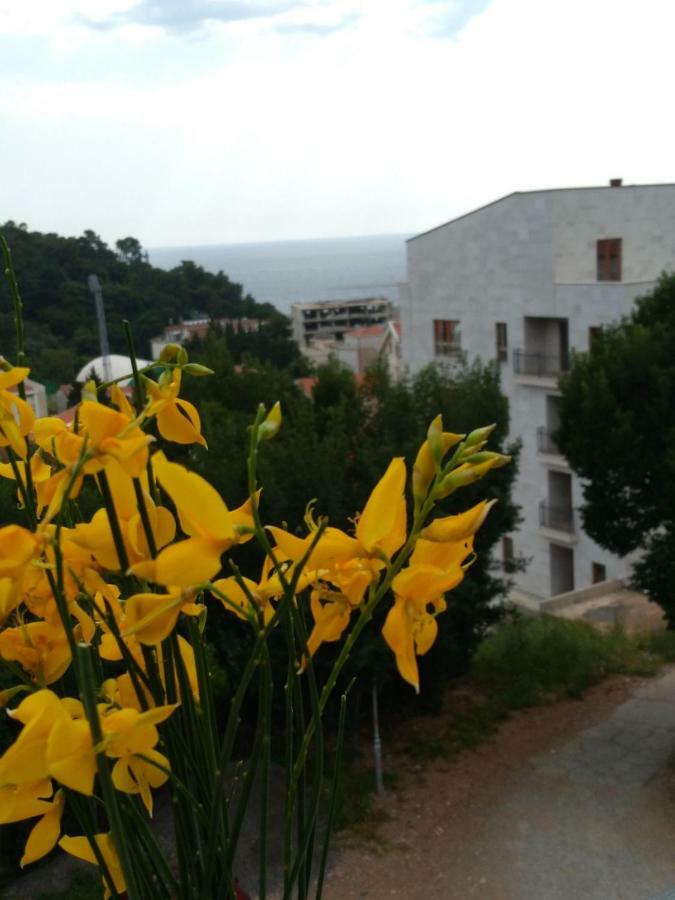 Apartmani Jovanovic Petrovac Dış mekan fotoğraf