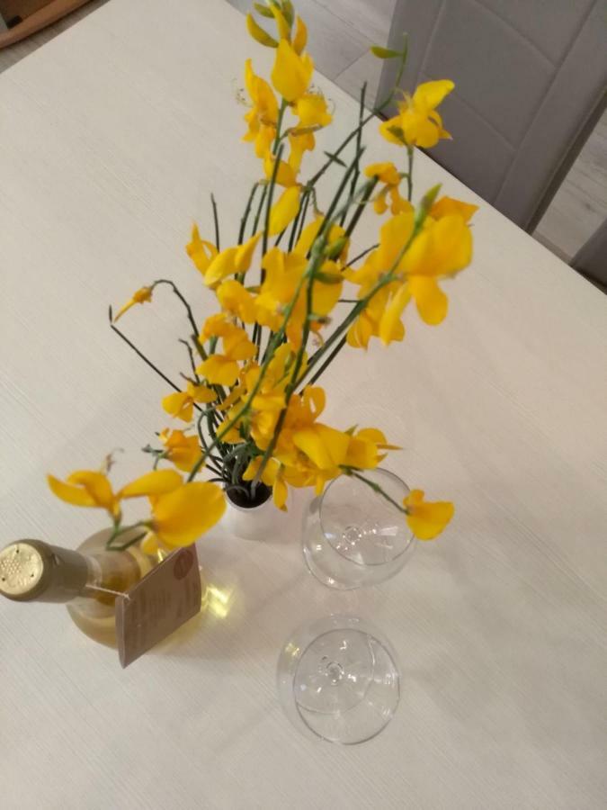 Apartmani Jovanovic Petrovac Dış mekan fotoğraf